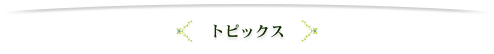 gsbNX